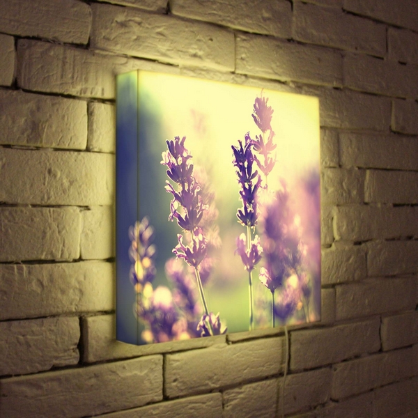 Картины с подсветкой на стену фото