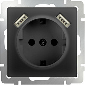 Розетка Черный матовый WL08-SKGS-USBx2-IP20