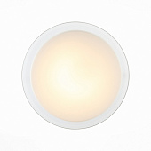 Настенно-потолочный светильник Botone SL466.512.01