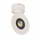 Настенно-потолочный светильник Dl18411 DL18411/11WW-White