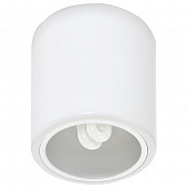 Точечный светильник Downlight 4865