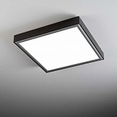 Настенно-потолочный светильник Box 17017/50 Wenge