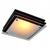 Потолочный светильник  C8006-2