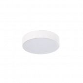 Потолочный светильник  DL18837/16W White R