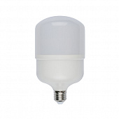 Лампочка светодиодная  LED-M80-25W/NW/E27/FR/S картон