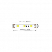 Светодиодная лента  ECO-SWG560-12-14.4-B