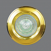 Точечный светильник  16001N04 SG-G
