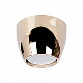 Настенно-потолочный светильник N1597 N1597-Gold