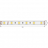 Светодиодная лента LUX DSG560-24-NW-65