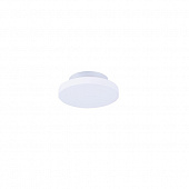Настенно-потолочный светильник Dl256g DL256G
